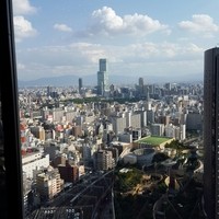 テーブル36 - 