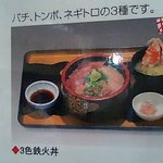さかな大食堂渚 - 三色鉄火丼メニュー。