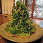 萬川 - 京水菜と佐波賀大根のサラダ