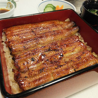 鰻割烹 伊豆栄 本店 - 