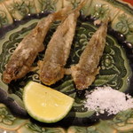 日本料理 晴山 - 琵琶湖モロコのてんぷら　