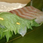 魚と酒と串 ちろり - 鯛の大葉巻き。