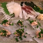 うまづらはぎと活〆やりいか 