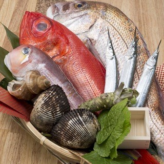 鮮魚とおでん 陽と月_2