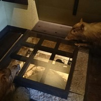 丹波篠山　近又 - 