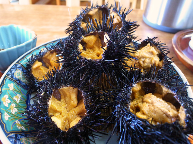 女川の海鮮丼！孤独のグルメにも出てましたー。』by かつかつかつくん