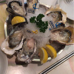 Oyster Bar ジャックポット - 