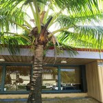 Shirley's Coffee Shop - 