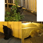 ぬくもりの宿 ふる川 - 