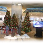 ステーキ工房 小粋  - クリスマスシーズンのロビー　2015.12