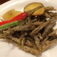 土佐料理 司 阪急グランドビル店 - 