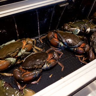 シンガポール シーフードリパブリック_1