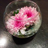 寿楽 - こういうの
                あるのと無いのとでは全然ちがいます