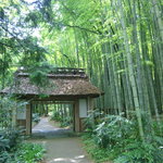 とらや工房 - 夏