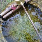 とらや工房 - 夏：つくばい