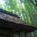 とらや工房 - 夏：覆いかぶさる竹林