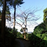鎌倉山 本店 - 