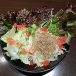 元祖 瓦そば たかせ - 旬野菜とじゃこのサラダ 2016.2