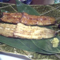 割烹 蒲焼 大沼 - 