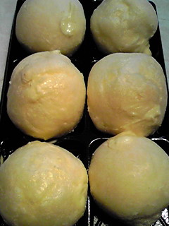 ふくや（菓子工房 ふくや） - 藤島（ケーキ）の写真