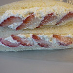 Panino - 