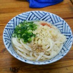 うどん さか枝 - かけうどん