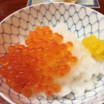 松川 - （2016/1）