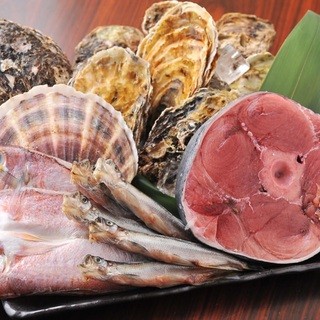 全国から仕入れる牡蠣や市場より直送する選りすぐりの鮮魚に舌鼓