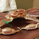 松川 - （2016/1）精悍なお顔