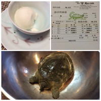 料亭 やまさ旅館 - 