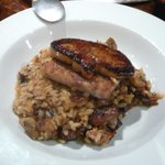 ヨッテリア ガク - 