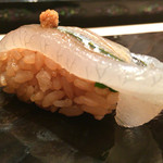 鮨 とかみ - 2016/02_さより