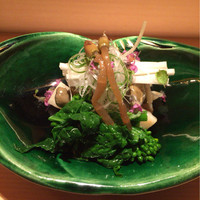 麻布 かどわき - 菜の花.つくし.山うど.