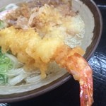香川製麺てまり - 天ぷらうどん