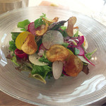 前菜【無農薬野菜サラダ】何種類もの野菜が、存分に楽しめます♪