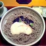 Takadaya - 生海苔の冷やし花巻そば　550円。