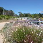 ELDRIDGE ESTATE of Red Hill - 駐車場あります