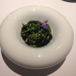 Point - 牡蠣と青のりジュレ