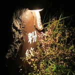 粉紋 - (2016,02/13)