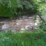 丸山珈琲  - 場内の川