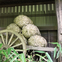 黒茶屋 - 