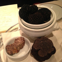 Terres de Truffes, Tokyo - 