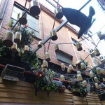 Chuckle Park - ボトルひとつひとつに小さな光が灯っています（＾＾