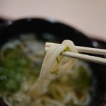 手打うどん総本家　とくとく - 柔らかめのうどん