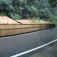 奥貴船 兵衛 - なんと、大雨が！
