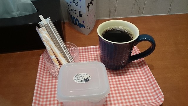 猫カフェtango ネコカフェ タンゴ 西院 阪急 その他 食べログ