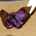 アンド ザ フリット - シャードークイーン