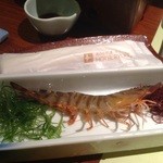 ホテル竜宮 - 生きてます(^◇^;)