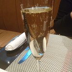 モダンカタランスパニッシュ ビキニ - 【2016年2月】