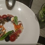 モダンカタランスパニッシュ ビキニ - 【2016年2月】